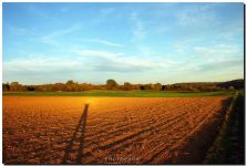 my shadow at sunset.jpg
